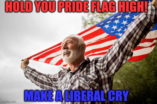PROUD TO BE AMERICAN | HOLD YOU PRIDE FLAG HIGH! MAKE A LIBERAL CRY | image tagged in american flag,america,independence day,4th of july,liberal,politics | made w/ Imgflip meme maker