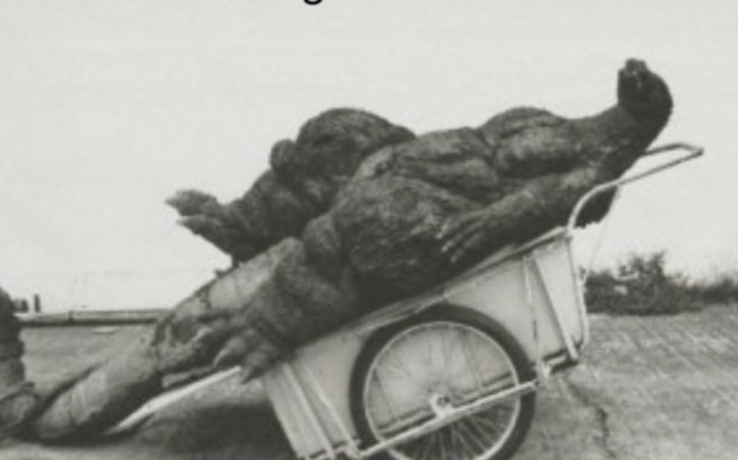 POV: You are looking at Godzilla in a wheel barrel Blank Meme Template