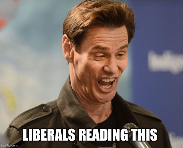 DOOFUS | LIBERALS READING THIS | image tagged in doofus | made w/ Imgflip meme maker
