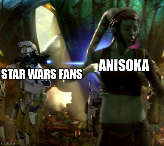 Executing anisoka | ANISOKA; STAR WARS FANS | image tagged in star wars order 66 | made w/ Imgflip meme maker