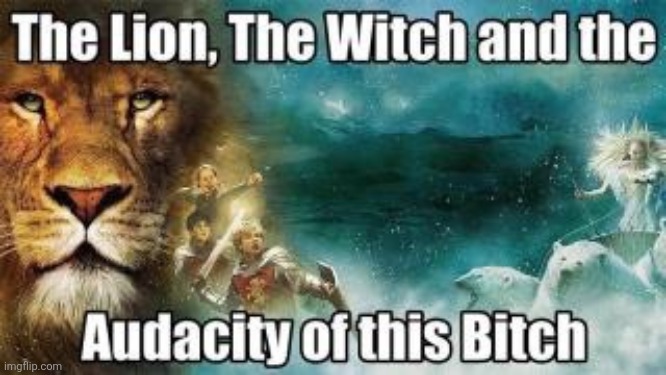 Audacity of this | image tagged in audacity,witch,lion | made w/ Imgflip meme maker