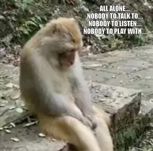 Lonely | ALL ALONE....
NOBODY TO TALK TO....
NOBODY TO LISTEN....
NOBODY TO PLAY WITH.... | image tagged in alone,lonely,missing you,sad | made w/ Imgflip meme maker