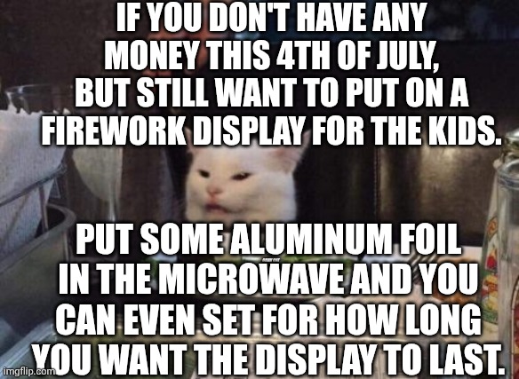 Smudge that darn cat | IF YOU DON'T HAVE ANY MONEY THIS 4TH OF JULY, BUT STILL WANT TO PUT ON A FIREWORK DISPLAY FOR THE KIDS. PUT SOME ALUMINUM FOIL IN THE MICROWAVE AND YOU CAN EVEN SET FOR HOW LONG YOU WANT THE DISPLAY TO LAST. | image tagged in smudge that darn cat | made w/ Imgflip meme maker
