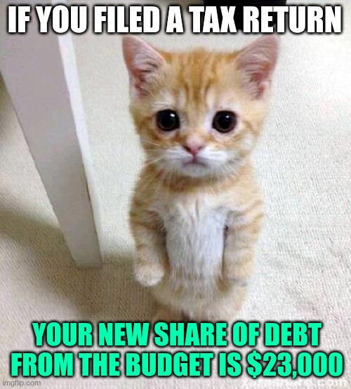 your share | IF YOU FILED A TAX RETURN; YOUR NEW SHARE OF DEBT FROM THE BUDGET IS $23,000 | image tagged in memes,cute cat,new budget bill | made w/ Imgflip meme maker