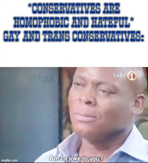 not all conservatives are anti lgbt | *CONSERVATIVES ARE HOMOPHOBIC AND HATEFUL*
GAY AND TRANS CONSERVATIVES: | image tagged in am i a joke to you,conservative,lgbt | made w/ Imgflip meme maker