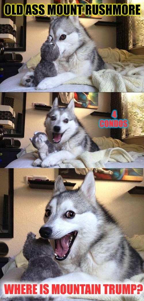 Mount Trump | OLD ASS MOUNT RUSHMORE; 4 CONDOS; WHERE IS MOUNTAIN TRUMP? | image tagged in memes,bad pun dog | made w/ Imgflip meme maker