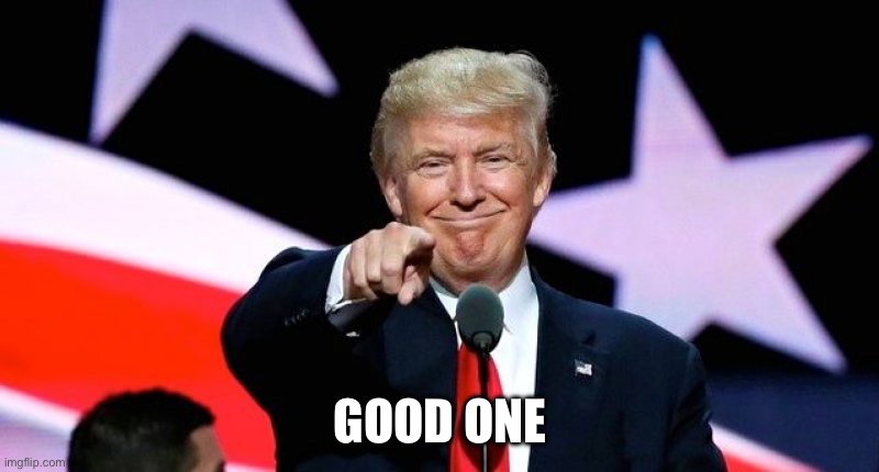 GOOD ONE | image tagged in donald trump pointing at you | made w/ Imgflip meme maker