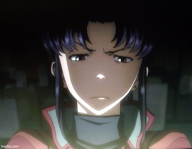 Annoyed Misato | image tagged in annoyed misato | made w/ Imgflip meme maker