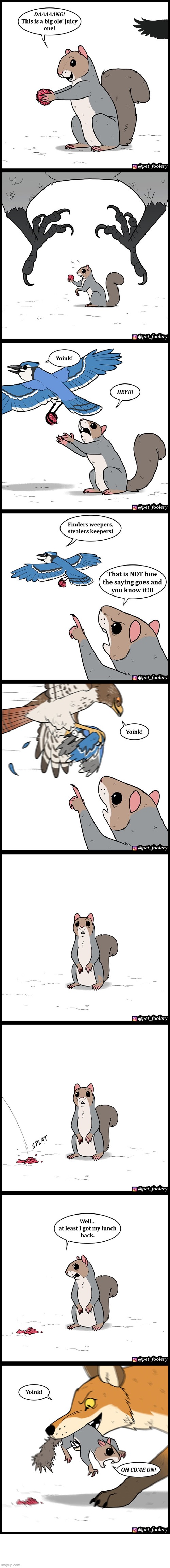 image tagged in squirrel,raspberry,blue jay,yoink,finders keepers,fox | made w/ Imgflip meme maker