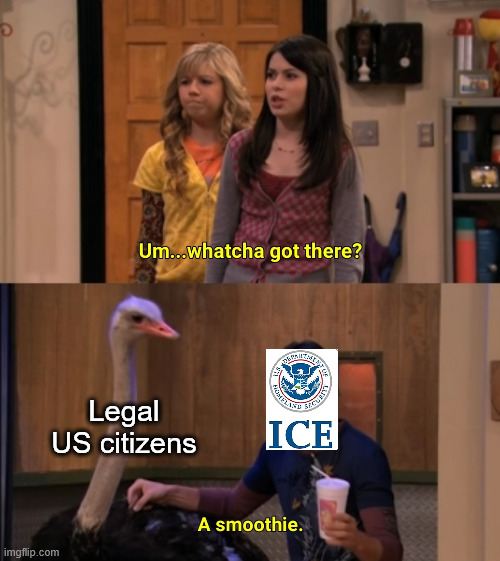 It was never going to stop at "illegals" | Legal US citizens | image tagged in whatcha got there,immigration,ice,fascism,nazi | made w/ Imgflip meme maker