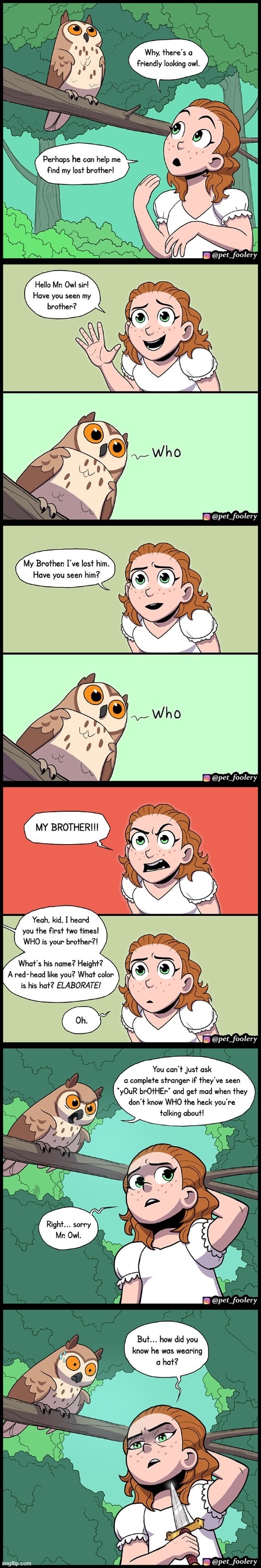 image tagged in owl,lost,brother,who,hat,dagger | made w/ Imgflip meme maker