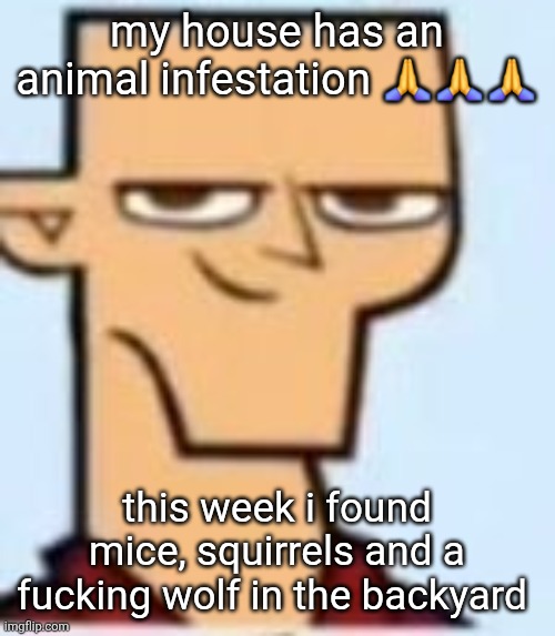 tyler | my house has an animal infestation 🙏🙏🙏; this week i found mice, squirrels and a fucking wolf in the backyard | image tagged in tyler | made w/ Imgflip meme maker