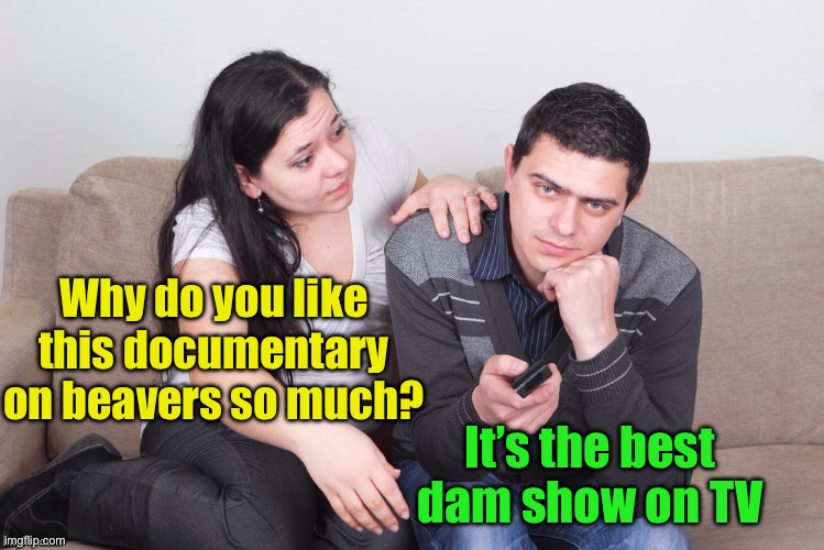 Best dam show | Why do you like this documentary on beavers so much? It’s the best dam show on TV | image tagged in watch tv,beavers | made w/ Imgflip meme maker
