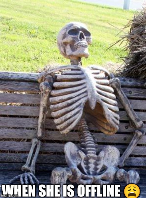 ? | WHEN SHE IS OFFLINE 😩 | image tagged in memes,waiting skeleton | made w/ Imgflip meme maker