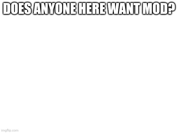 DOES ANYONE HERE WANT MOD? | made w/ Imgflip meme maker