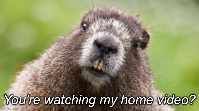 Beaver | You’re watching my home video? | image tagged in mr beaver | made w/ Imgflip meme maker