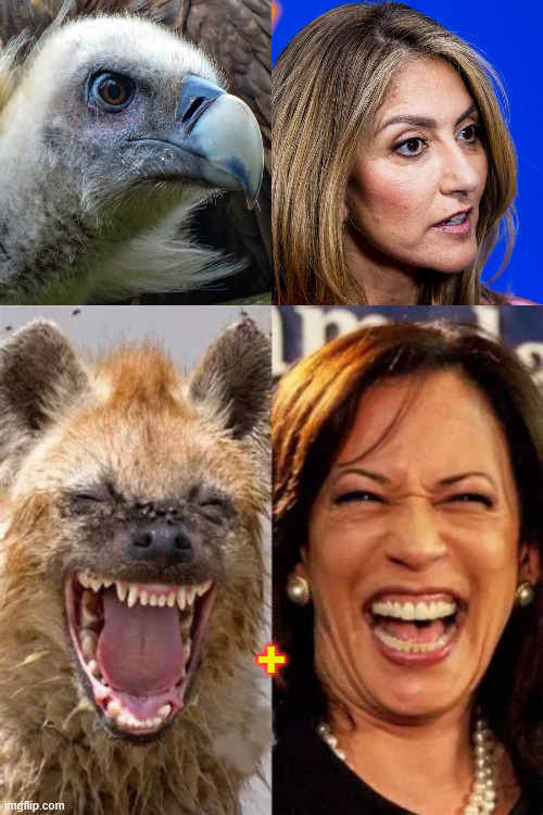 dutch kamala | made w/ Imgflip meme maker