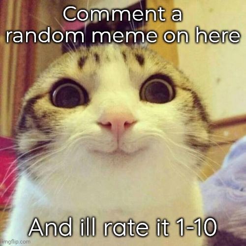 bc why not | Comment a random meme on here; And ill rate it 1-10 | image tagged in memes,smiling cat | made w/ Imgflip meme maker