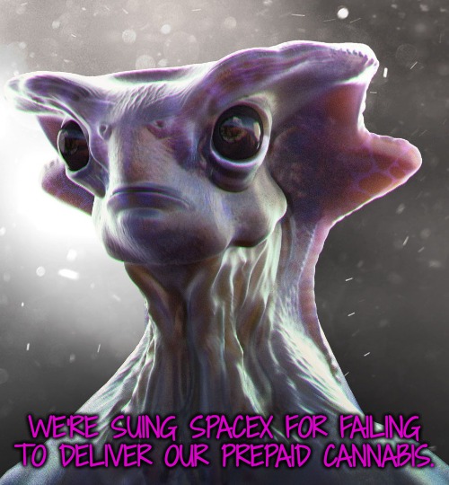 Alien face | WE'RE SUING SPACEX FOR FAILING TO DELIVER OUR PREPAID CANNABIS. | image tagged in alien face | made w/ Imgflip meme maker