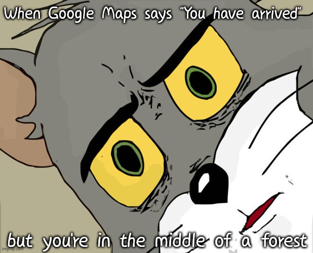 Unsettled Tom | When Google Maps says "You have arrived"; but you're in the middle of a forest | image tagged in memes,unsettled tom | made w/ Imgflip meme maker