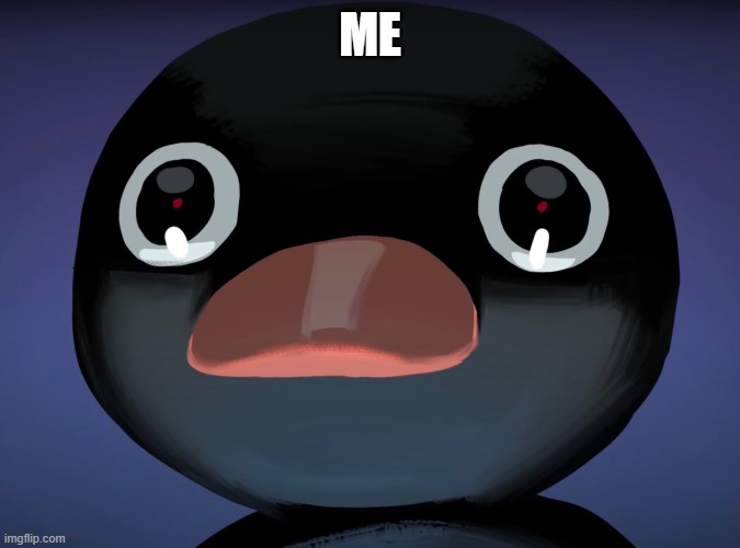Pingu stare | ME | image tagged in pingu stare | made w/ Imgflip meme maker