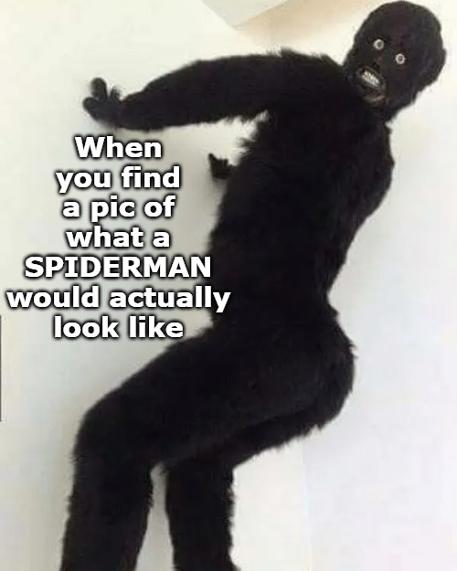 When you find a pic of what a SPIDERMAN would actually look like | image tagged in iop | made w/ Imgflip meme maker