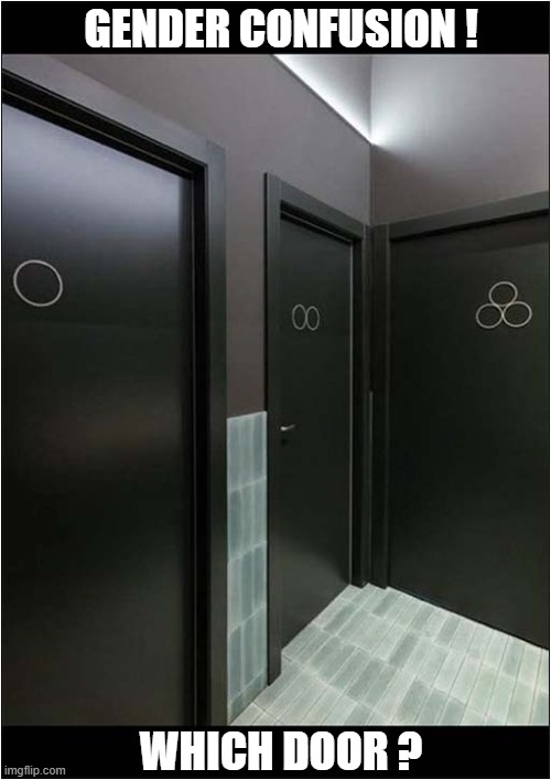 When You're Busting For A Pee ! | GENDER CONFUSION ! WHICH DOOR ? | image tagged in toilets,gender confusion,which door,dark humour | made w/ Imgflip meme maker
