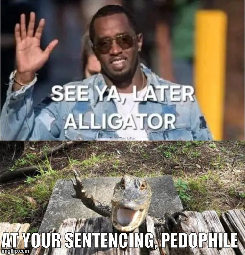 Another liberal court and jury injustice. They ignored the evidence again. | AT YOUR SENTENCING, PEDOPHILE | image tagged in p diddy,how much did he pay that jury | made w/ Imgflip meme maker