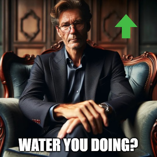 kewlew high dollar | WATER YOU DOING? | image tagged in kewlew high dollar | made w/ Imgflip meme maker