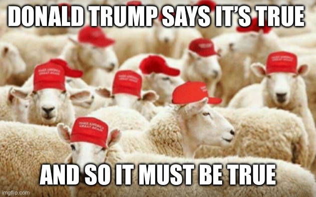 Trump sheep | DONALD TRUMP SAYS IT’S TRUE; AND SO IT MUST BE TRUE | image tagged in trump sheeple | made w/ Imgflip meme maker
