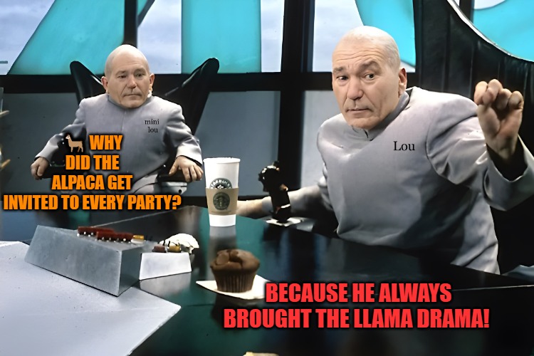 lou and mini lou | ? WHY DID THE ALPACA GET INVITED TO EVERY PARTY? BECAUSE HE ALWAYS BROUGHT THE LLAMA DRAMA! | image tagged in lou and mini lou | made w/ Imgflip meme maker