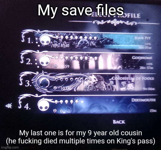 My save files; My last one is for my 9 year old cousin (he fucking died multiple times on King's pass) | made w/ Imgflip meme maker