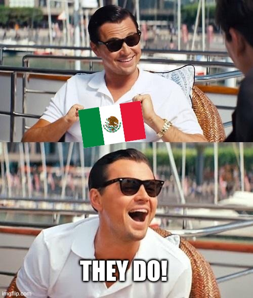 Leonardo Dicaprio Wolf Of Wall Street Meme | THEY DO! | image tagged in memes,leonardo dicaprio wolf of wall street | made w/ Imgflip meme maker