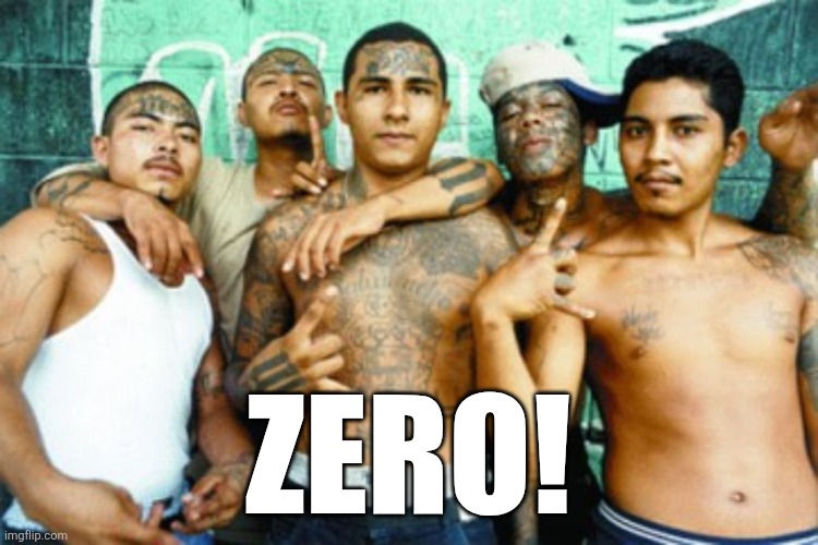 mexican gang members | ZERO! | image tagged in mexican gang members | made w/ Imgflip meme maker