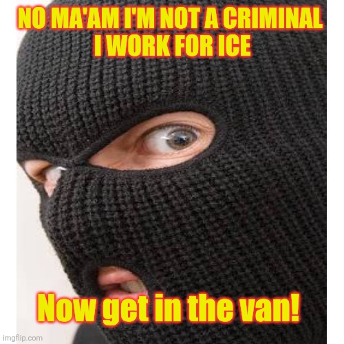 Who is who? | NO MA'AM I'M NOT A CRIMINAL 
I WORK FOR ICE Now get in the van! | image tagged in donald trump,maga,ice,criminals,incognito,fear | made w/ Imgflip meme maker