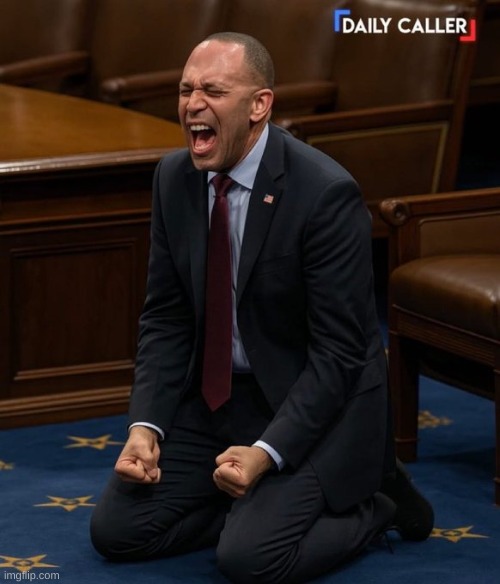Caption this image for me (I'm running out of ideas) | image tagged in caption this | made w/ Imgflip meme maker