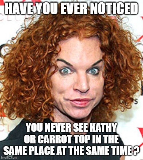 Carrot top | HAVE YOU EVER NOTICED YOU NEVER SEE KATHY OR CARROT TOP IN THE SAME PLACE AT THE SAME TIME ? | image tagged in carrot top | made w/ Imgflip meme maker