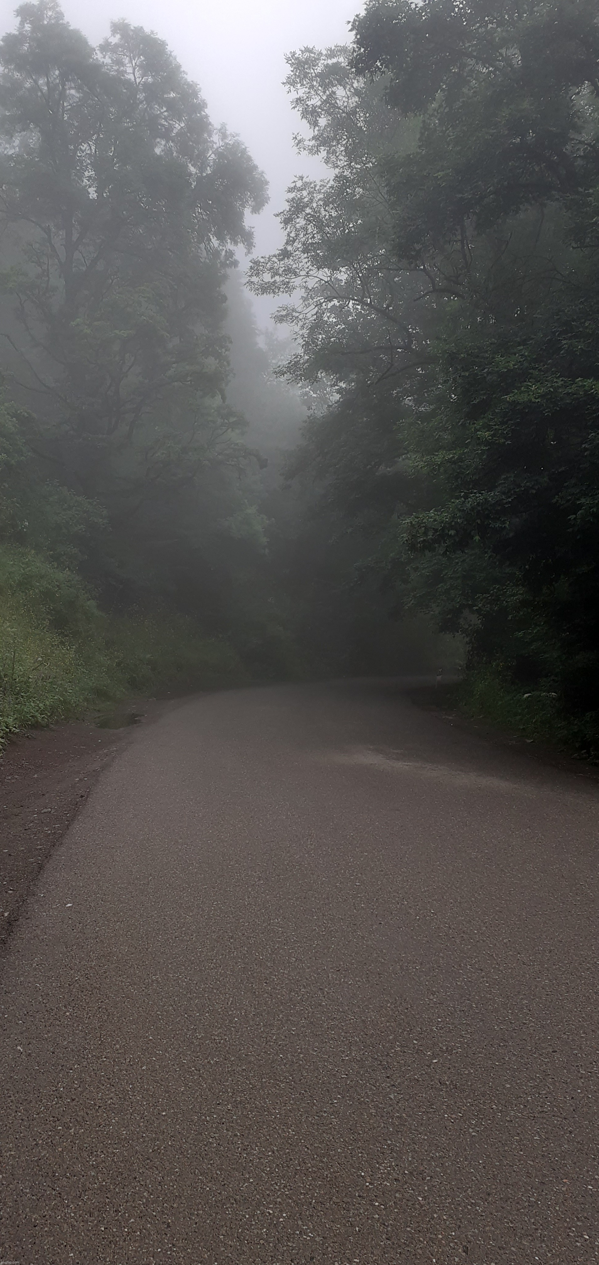 Location: Dilijan, Tavush - Armenia | made w/ Imgflip meme maker
