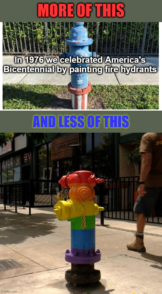 Only one flag is inclusive | MORE OF THIS; In 1976 we celebrated America's Bicentennial by painting fire hydrants; AND LESS OF THIS | image tagged in the american flag | made w/ Imgflip meme maker
