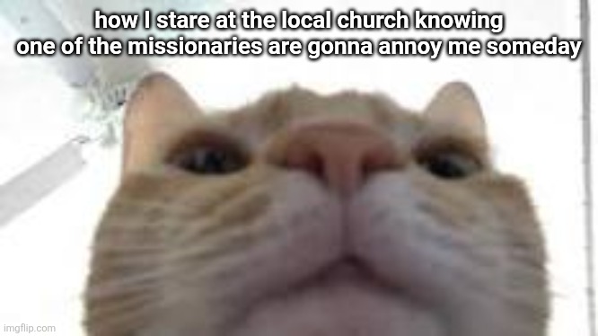 cat staring at camera | how I stare at the local church knowing one of the missionaries are gonna annoy me someday | image tagged in cat staring at camera | made w/ Imgflip meme maker
