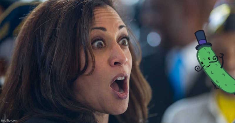 kamala harriss | image tagged in kamala harriss | made w/ Imgflip meme maker