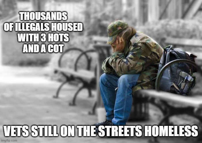 homeless vet | THOUSANDS OF ILLEGALS HOUSED
 WITH 3 HOTS 
AND A COT VETS STILL ON THE STREETS HOMELESS | image tagged in homeless vet | made w/ Imgflip meme maker