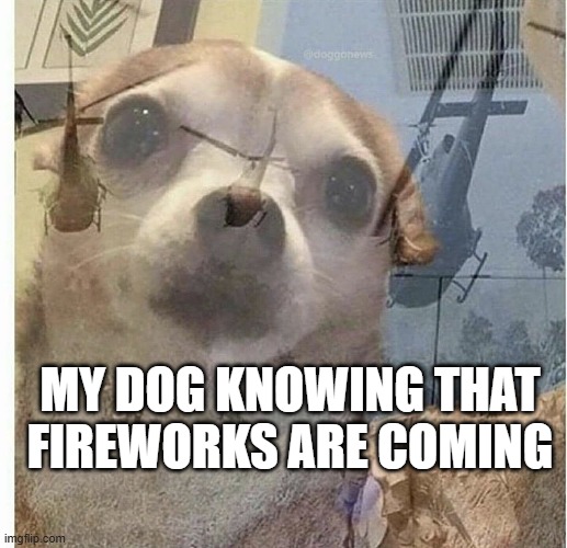 "here we go again" - my dog | MY DOG KNOWING THAT FIREWORKS ARE COMING | image tagged in fireworks,dogs | made w/ Imgflip meme maker