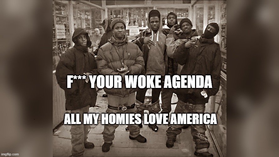 land of the free, home of the brave | F*** YOUR WOKE AGENDA; ALL MY HOMIES LOVE AMERICA | image tagged in all my homies,meme,america,msmg | made w/ Imgflip meme maker