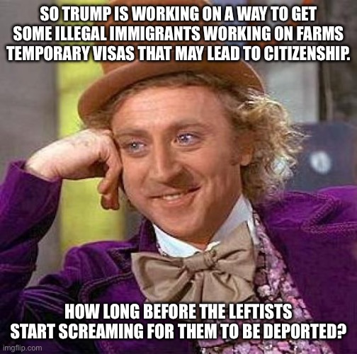 Creepy Condescending Wonka | SO TRUMP IS WORKING ON A WAY TO GET SOME ILLEGAL IMMIGRANTS WORKING ON FARMS TEMPORARY VISAS THAT MAY LEAD TO CITIZENSHIP. HOW LONG BEFORE THE LEFTISTS START SCREAMING FOR THEM TO BE DEPORTED? | image tagged in memes,creepy condescending wonka | made w/ Imgflip meme maker
