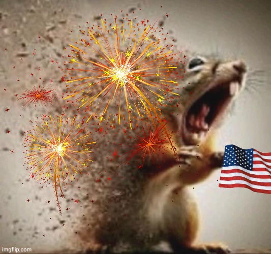 happy 4th of July btw | image tagged in badass squirrel disintegrating | made w/ Imgflip meme maker