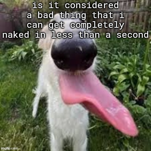 dog | is it considered a bad thing that i can get completely naked in less than a second | image tagged in dog | made w/ Imgflip meme maker