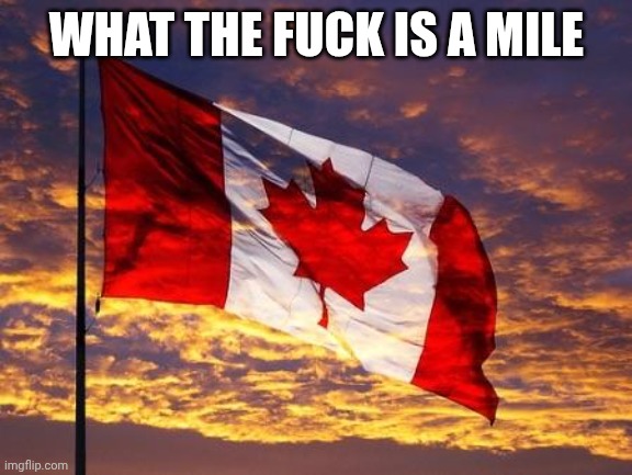 Canada | WHAT THE FUCK IS A MILE | image tagged in canada | made w/ Imgflip meme maker