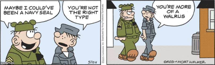 Beetle Bailey | image tagged in comics | made w/ Imgflip meme maker