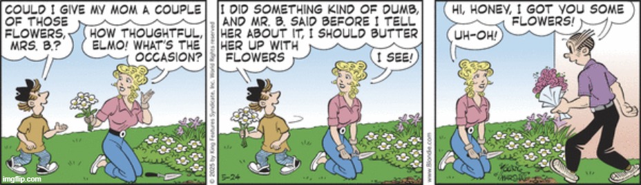 Blondie | image tagged in comics | made w/ Imgflip meme maker